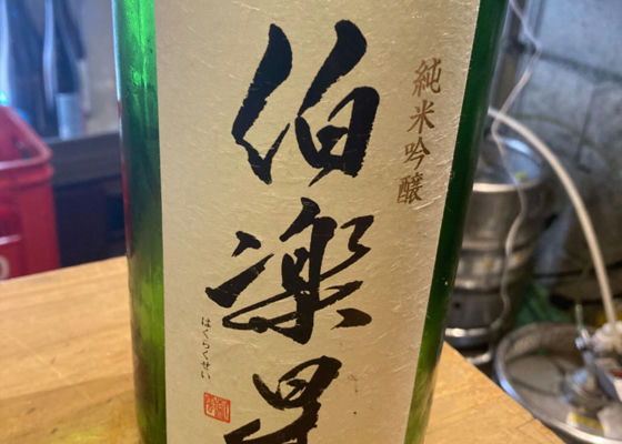 伯楽星