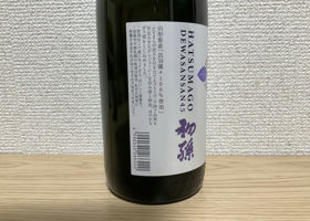 alt 3
