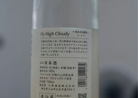 alt 3