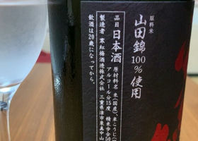 alt 3