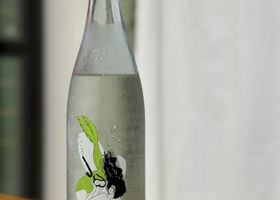 alt 1