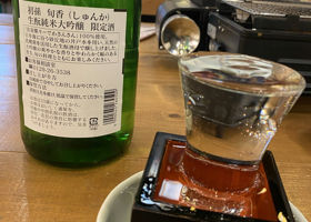 alt 2