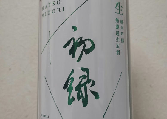 alt 1