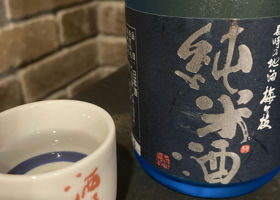 alt 3