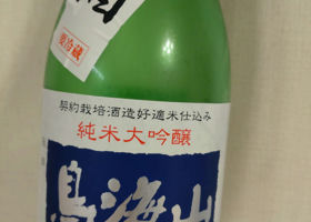 alt 1