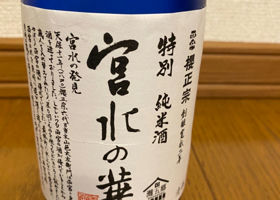 alt 1
