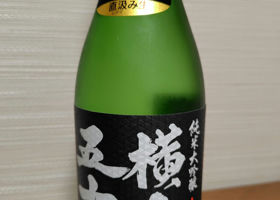 alt 1