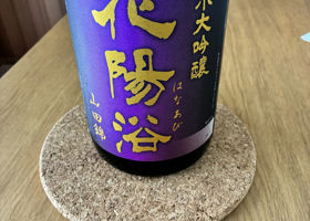 alt 1