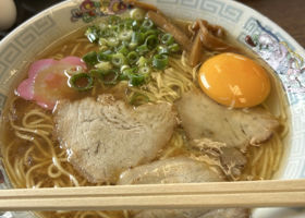 alt 3