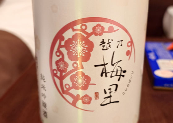 古酒〙 吟醸 越乃 梅里 小黒酒造株式会社 コレクション日本酒