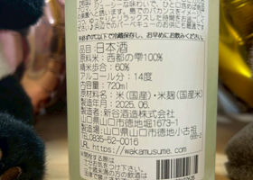 alt 3