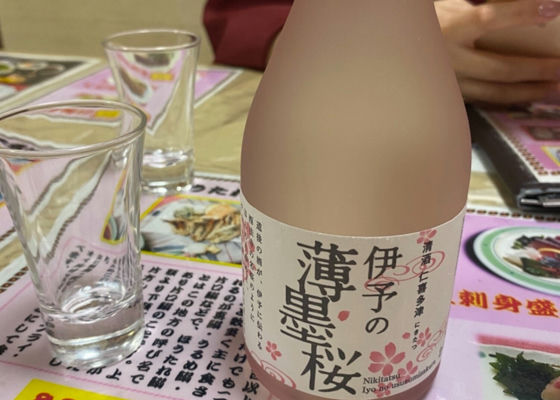 伊予の薄墨桜