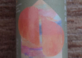 alt 2