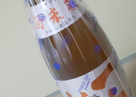 alt 3
