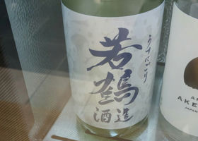 alt 1