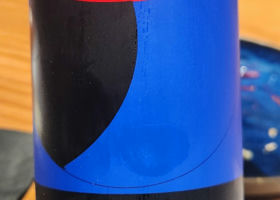 alt 2
