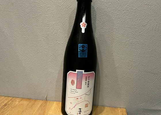 alt 1