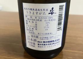 alt 3