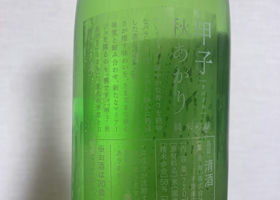 alt 2