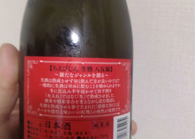 alt 2