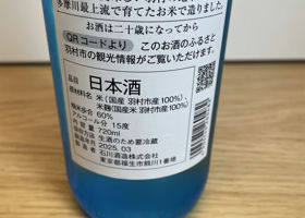 alt 3