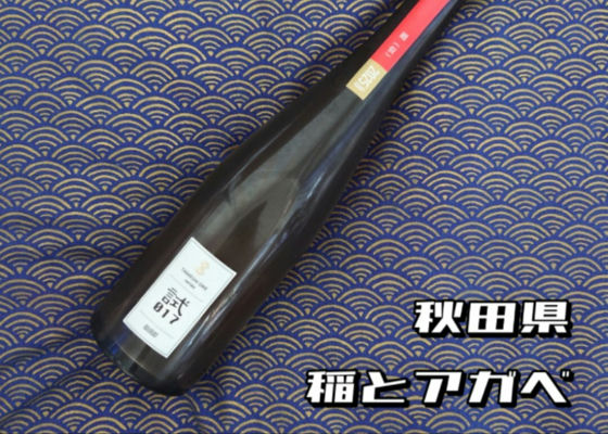 alt 1