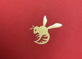 alt 1