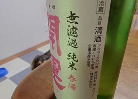 alt 2