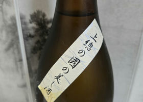 alt 3