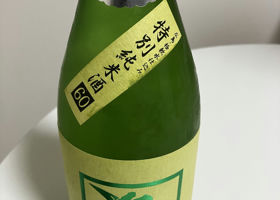 alt 1