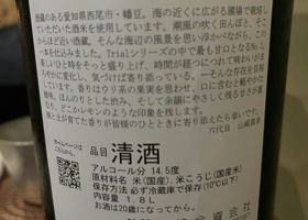 alt 2