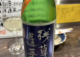 alt 1
