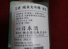 alt 3