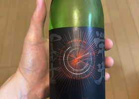 alt 1