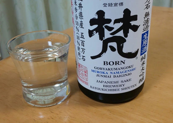 Born 签到 1