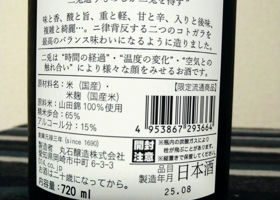 alt 3