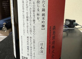 alt 3