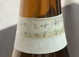 alt 3