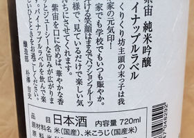 紫宙 チェックイン 2