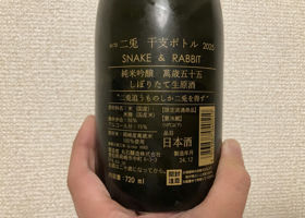alt 3