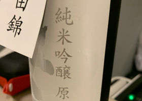 alt 3