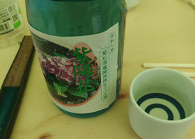 alt 2