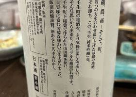 alt 3