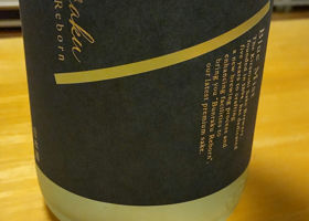 alt 1