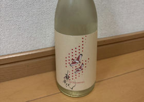 alt 1