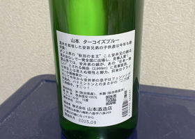alt 2