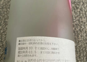 alt 3