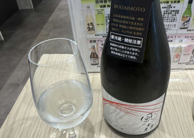 alt 1