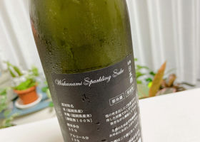 Wakanami Sparkling チェックイン 2