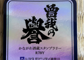 alt 3
